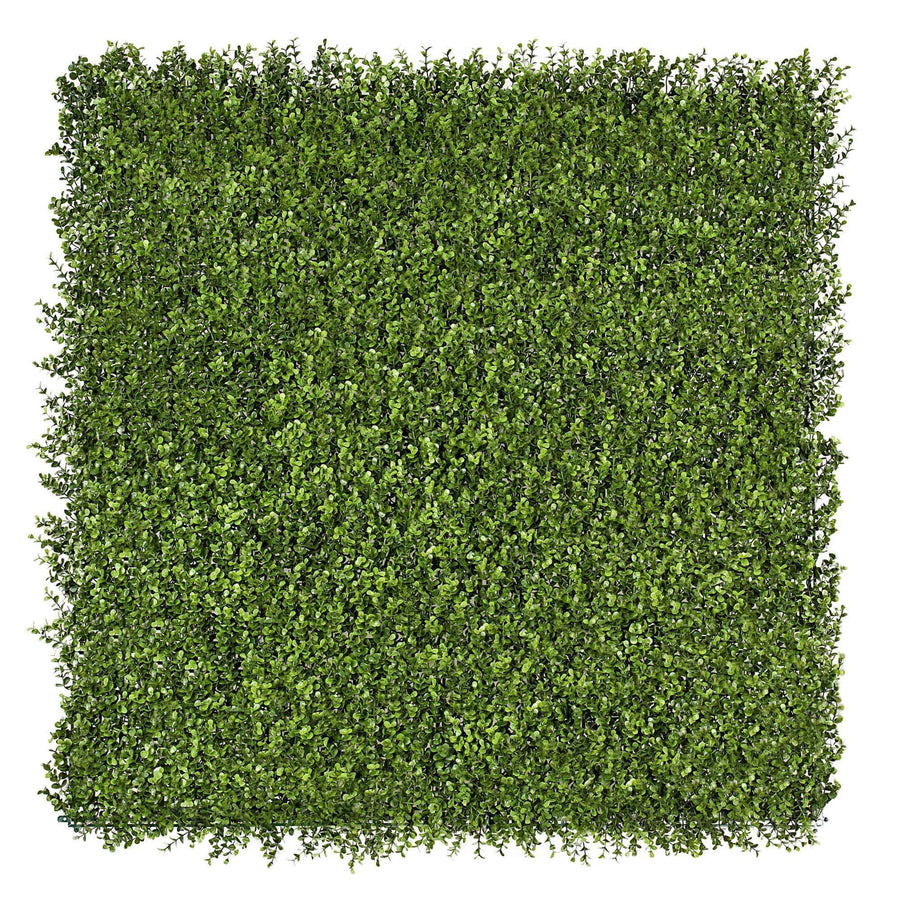 Natural Buxus Artificial Hedge Panel 1m x 1m – SGS UV Resistant