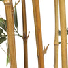 Premium Natural Cane Artificial Bamboo (UV Resistant) 150cm - Designer Vertical Gardens bamboos Bamboos and Palm
