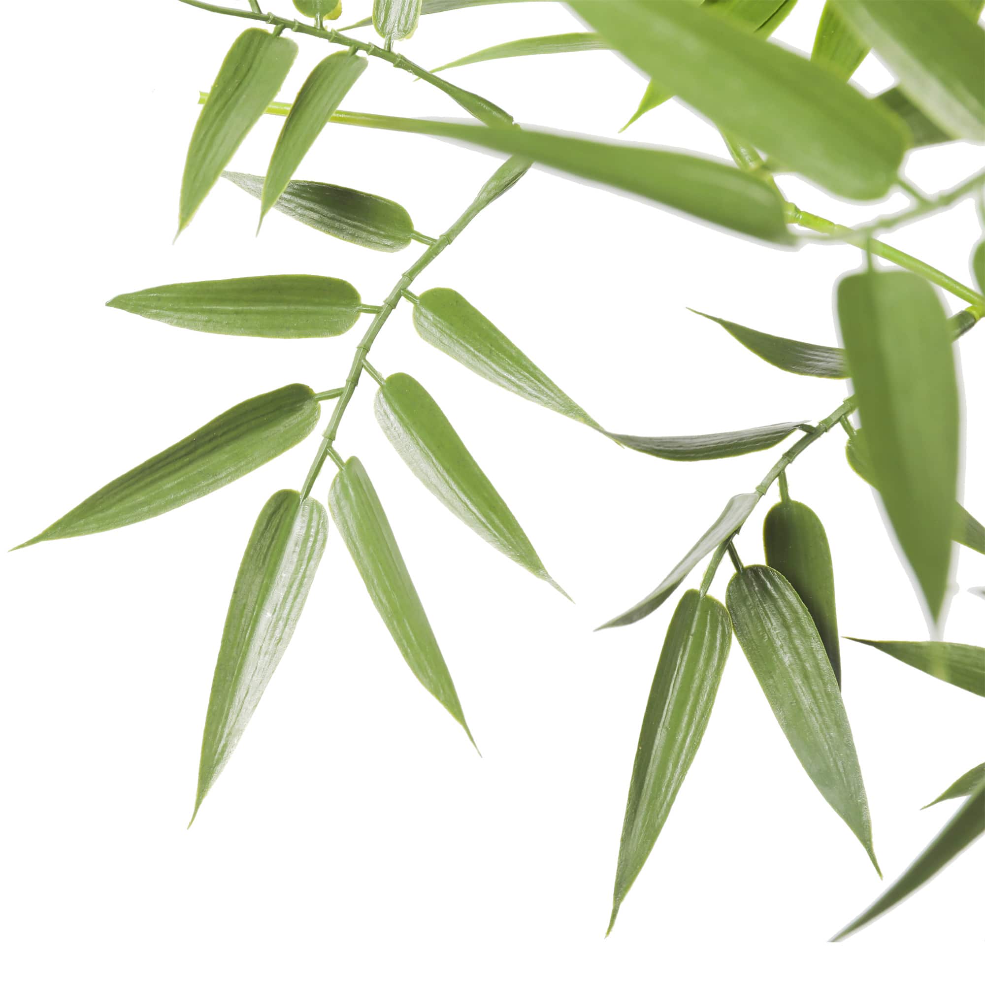 Premium Natural Cane Artificial Bamboo (UV Resistant) 180cm - Designer Vertical Gardens Artificial Trees bamboos