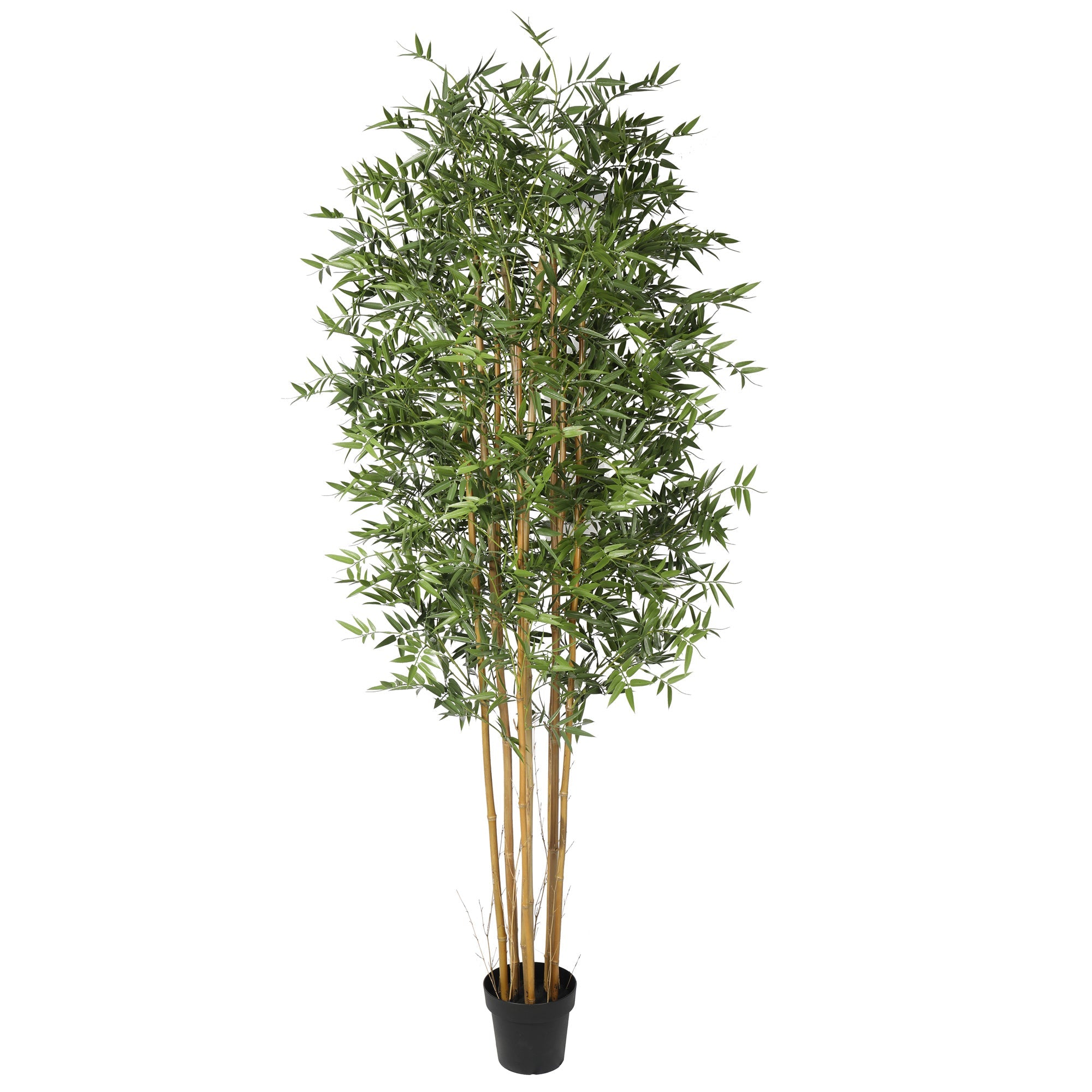 Premium Natural Cane Artificial Bamboo (UV Resistant) 210cm - Designer Vertical Gardens Artificial Trees Artificial Trees for Balconies
