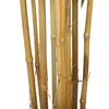 Load image into Gallery viewer, Premium Natural Cane Artificial Bamboo (UV Resistant) 210cm - Designer Vertical Gardens Artificial Trees Artificial Trees for Balconies