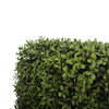 Premium Potted Artificial Square Topiary Plant 55cm - Designer Vertical Gardens Artificial Shrubs and Small plants Topiary Ball