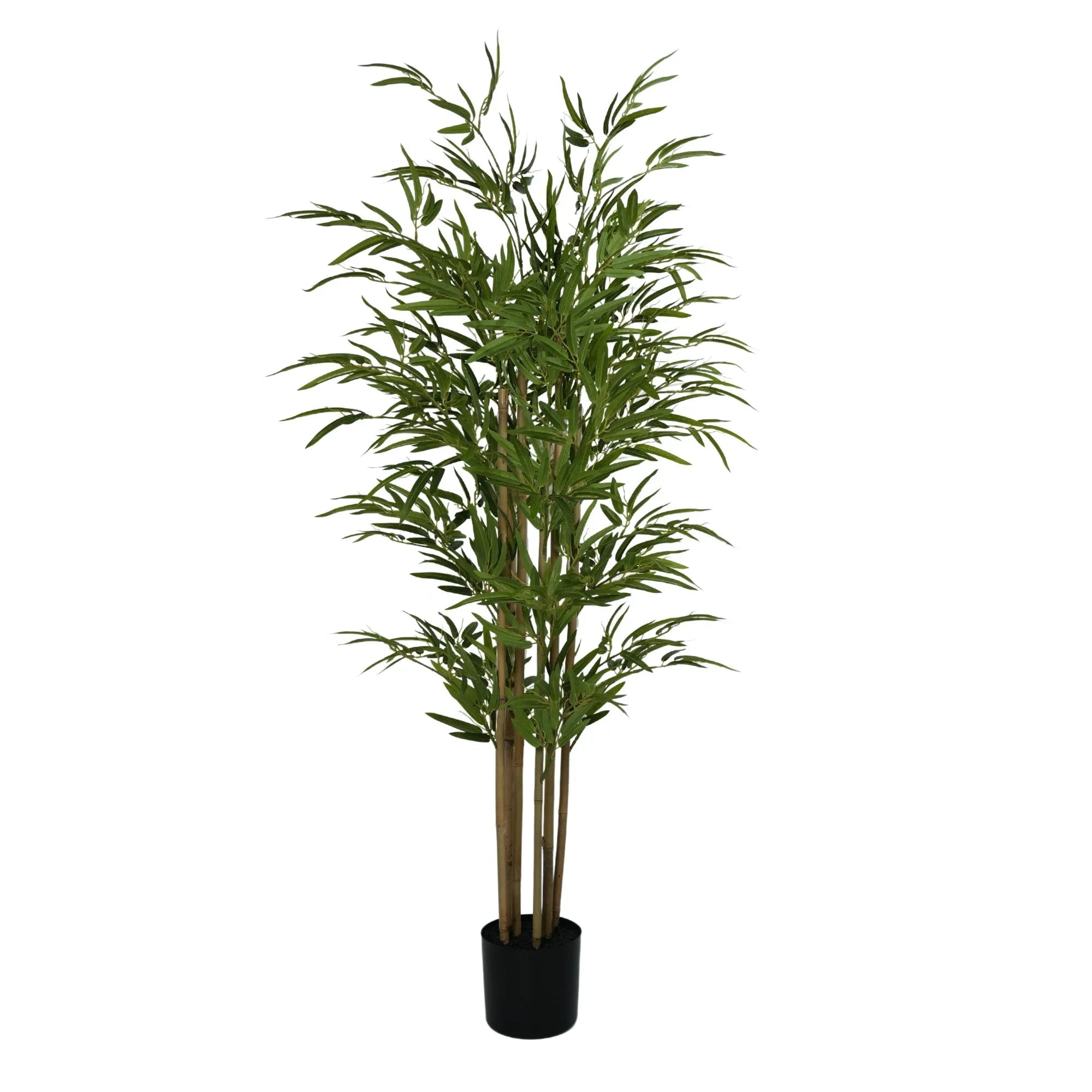 Premium Real Touch Artificial Bamboo 150cm - Designer Vertical Gardens Bamboos and Palm vertical garden artificial plants