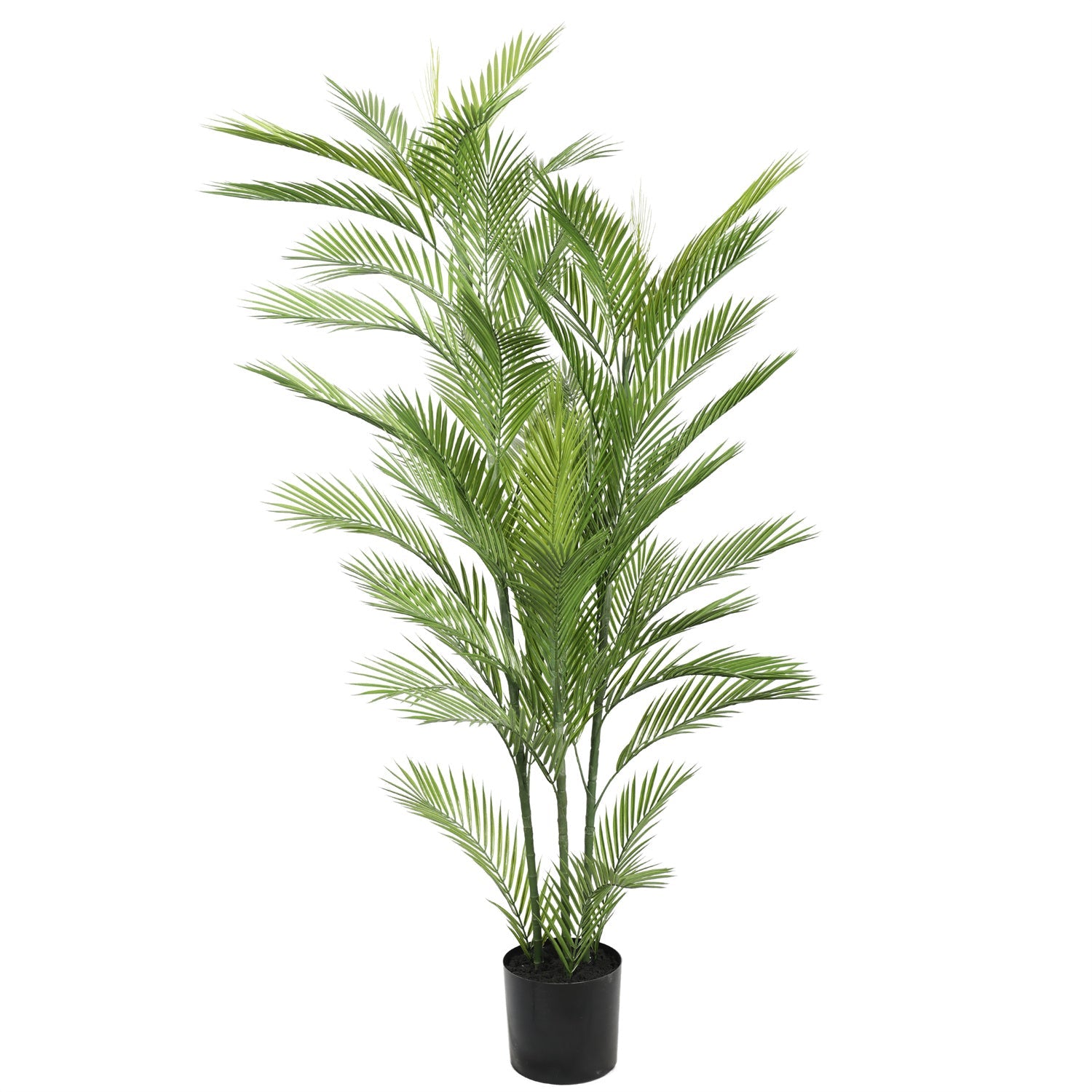 Real Touch Artificial Phoenix Palm Tree UV Resistant 180cm - Designer Vertical Gardens Articial Trees Artificial Trees