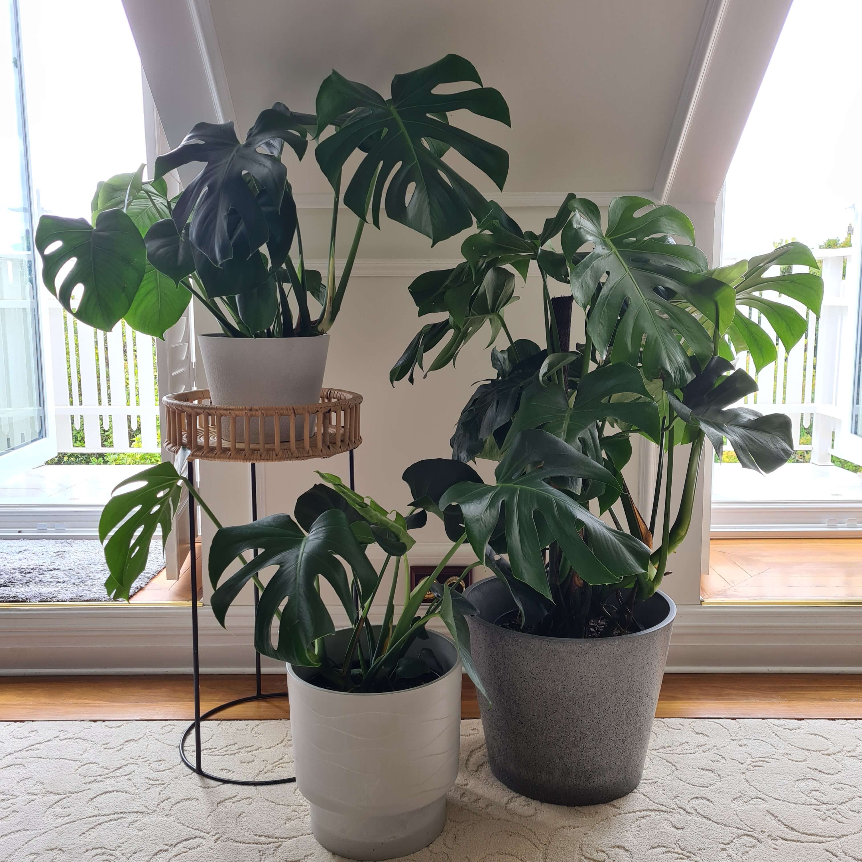 Rendered White Planter Pot 25cm - Designer Vertical Gardens Pots