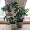 Rendered White Planter Pot 25cm - Designer Vertical Gardens Pots