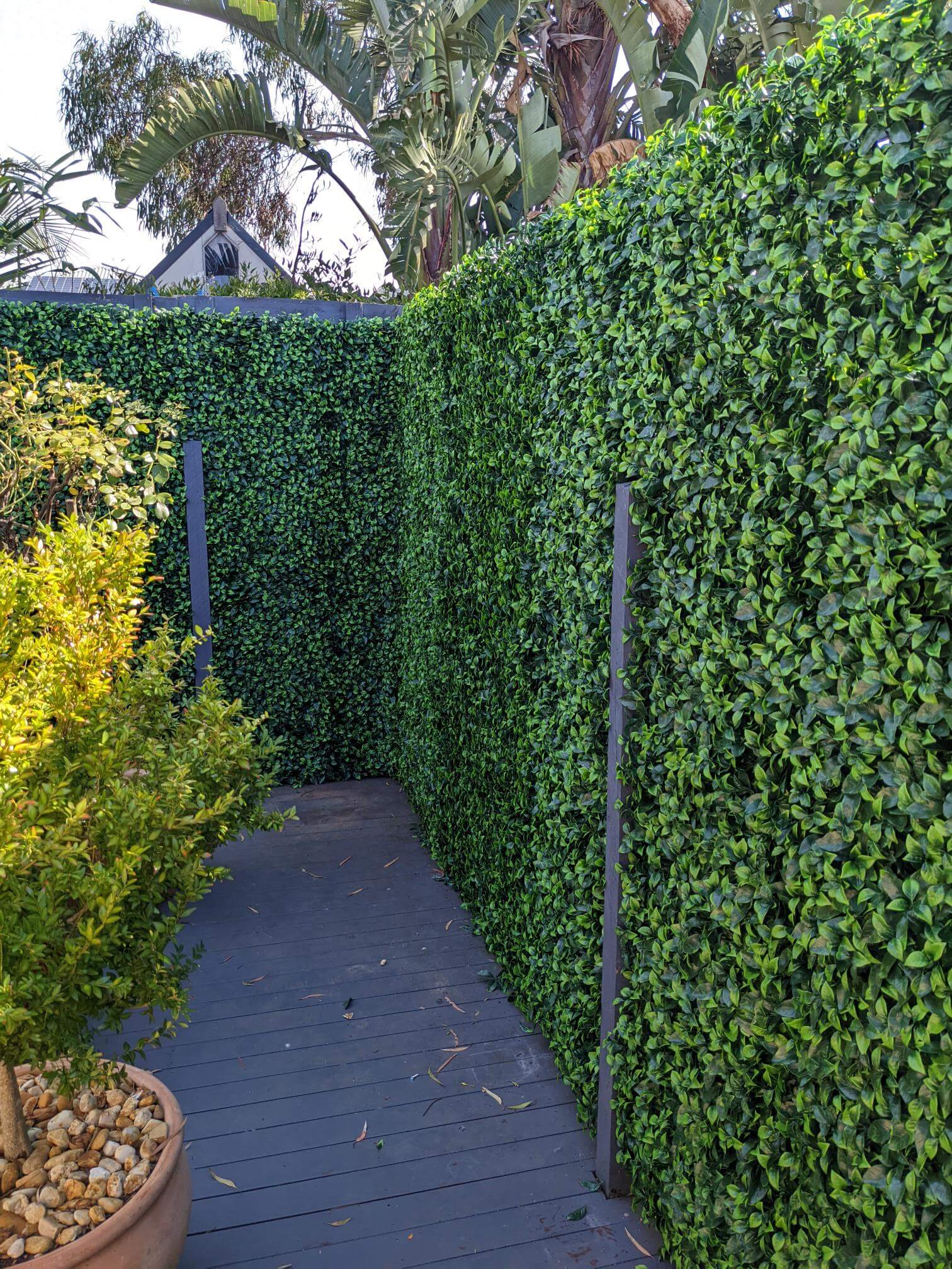 Sample - Jasmine Leaf Artificial Hedge Panel (25cm x 25cm) - Designer Vertical Gardens artificial garden wall plants artificial green wall australia