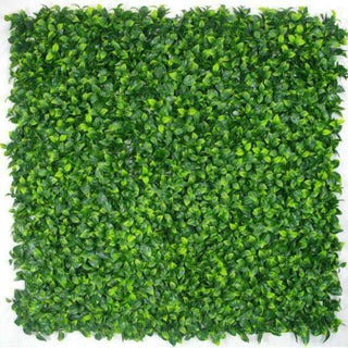 Sample - Jasmine Leaf Artificial  Hedge Panel (25cm x 25cm)