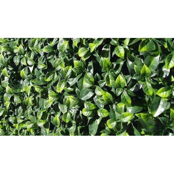 Sample - Jasmine Leaf Artificial  Hedge Panel (25cm x 25cm) — view 2