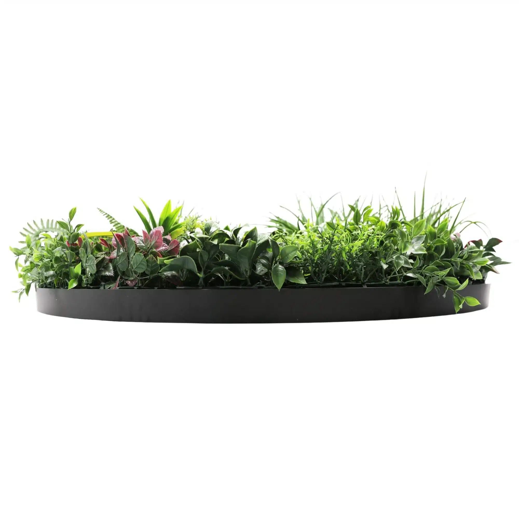 Slimline Artificial Green Wall Disc Art 100cm Country Fern UV Resistant (Black) - Designer Vertical Gardens Artificial vertical garden wall disc