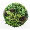 Slimline Artificial Green Wall Disc Art 100cm Grassy Fern UV Resistant (Black)