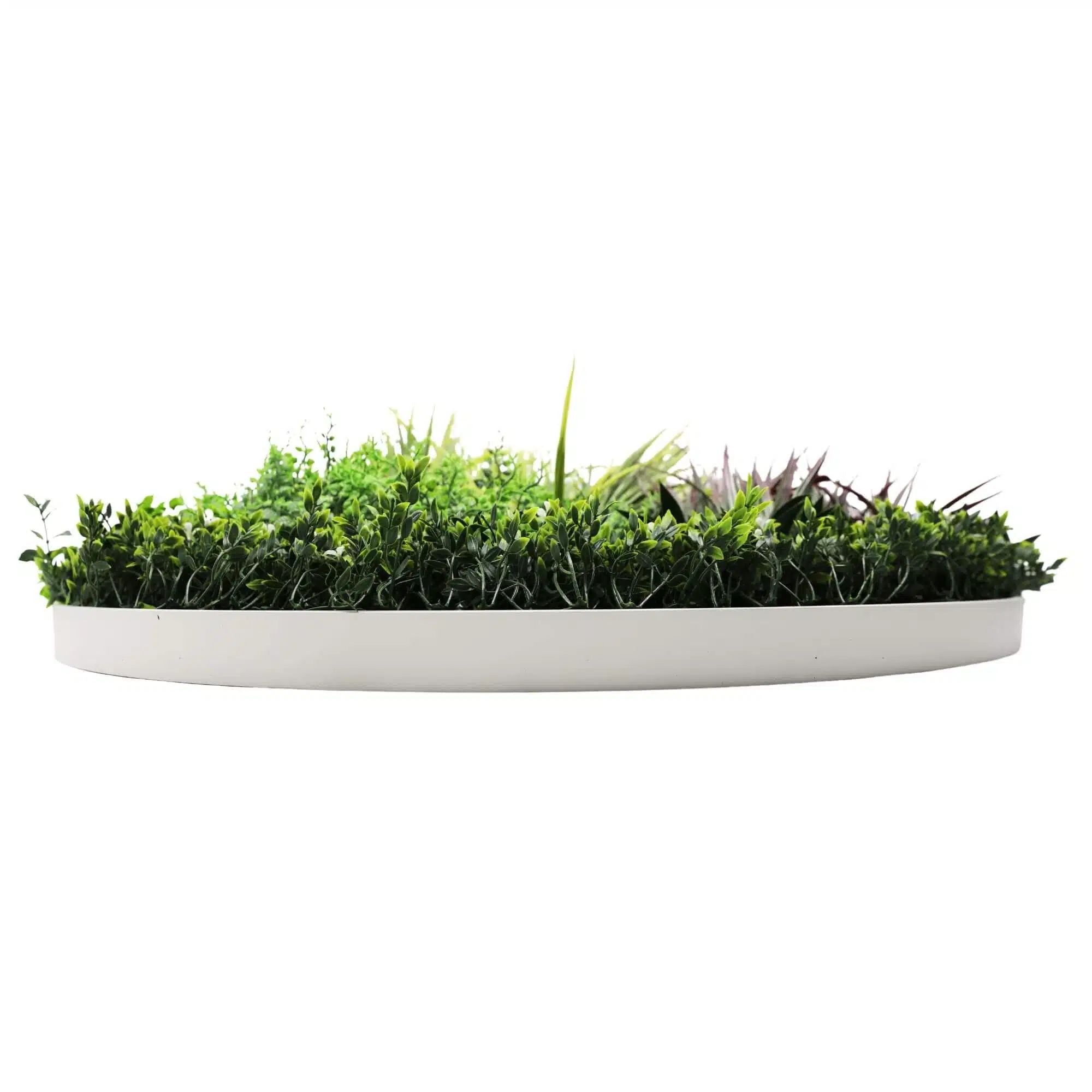 Slimline Artificial Green Wall Disc Art 100cm Grassy Fern UV Resistant (White) - Designer Vertical Gardens Artificial vertical garden wall disc