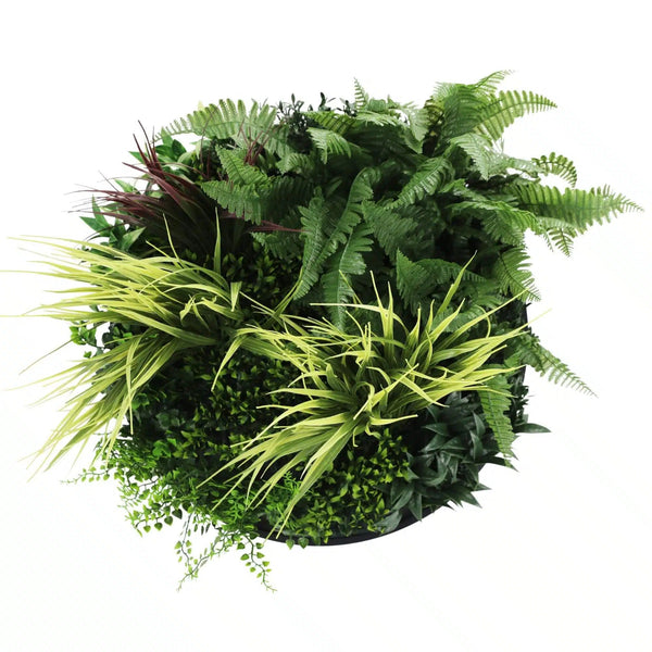 Slimline Artificial Green Wall Disc Art 50cm Grassy Fern Fields UV Resistant (Black) - image 1