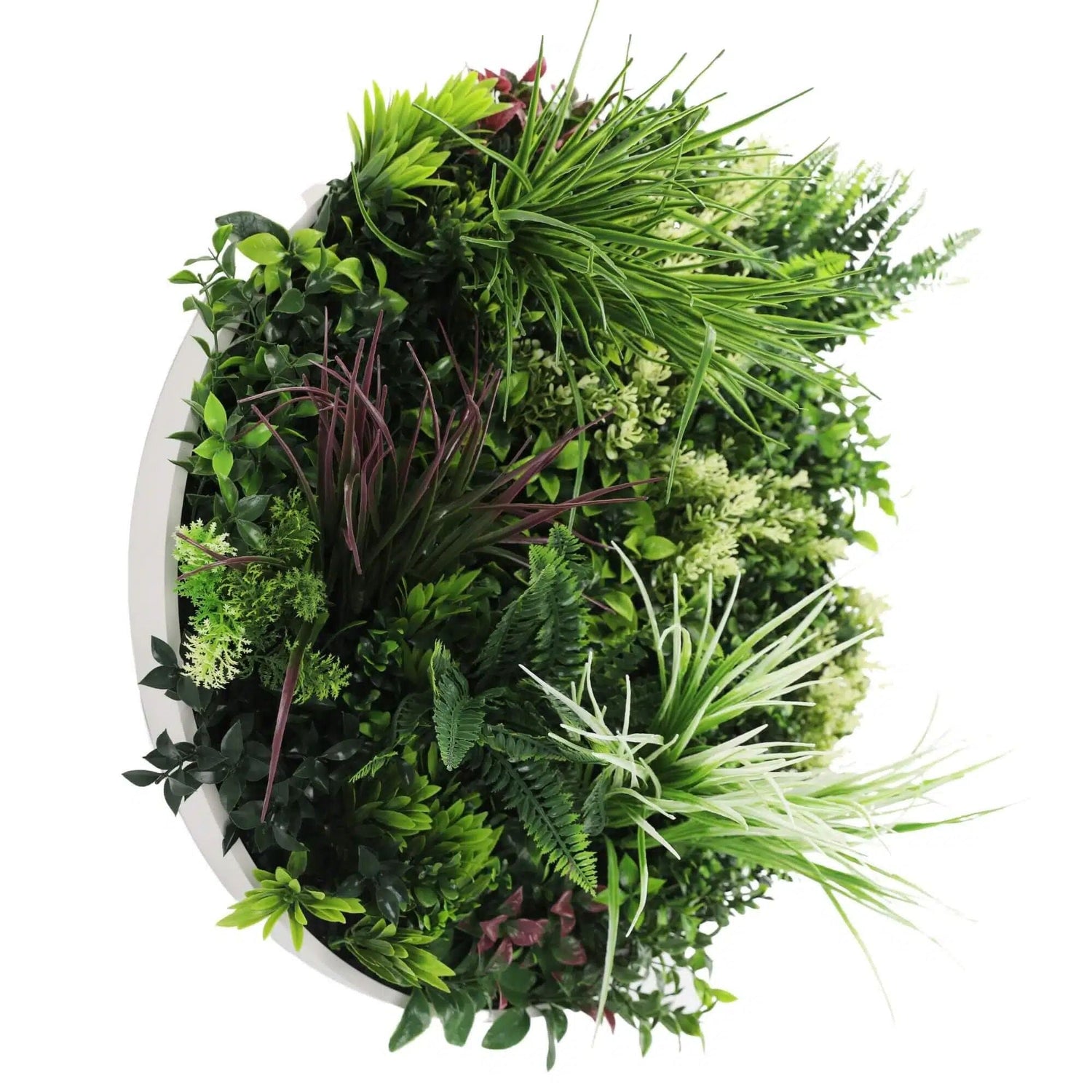 Slimline Artificial Green Wall Disc Art 60cm Colour Fresh UV Resistant (White) - Designer Vertical Gardens Artificial vertical garden wall disc