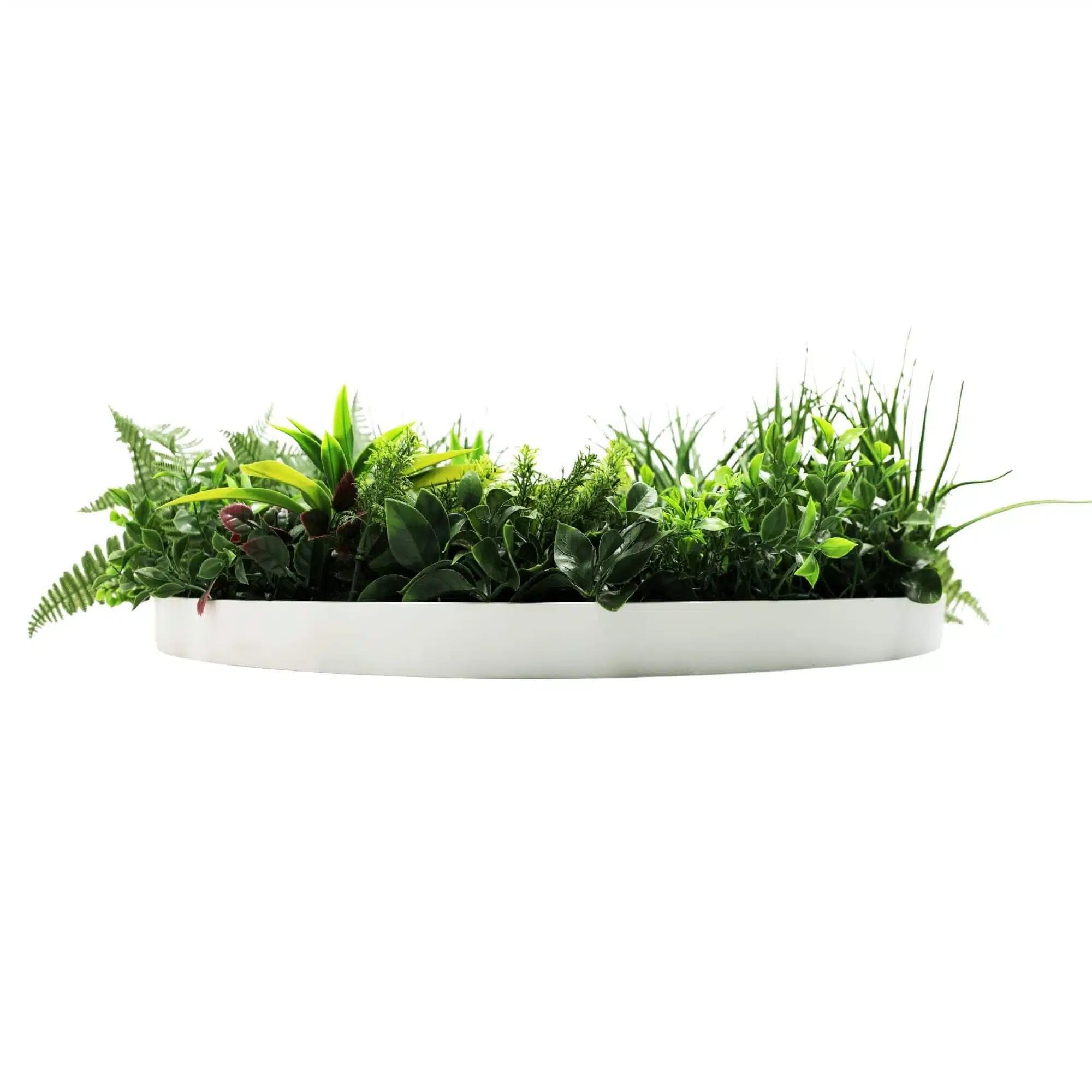 Slimline Artificial Green Wall Disc Art 80cm Country Fern UV Resistant (White) - Designer Vertical Gardens Artificial vertical garden wall disc