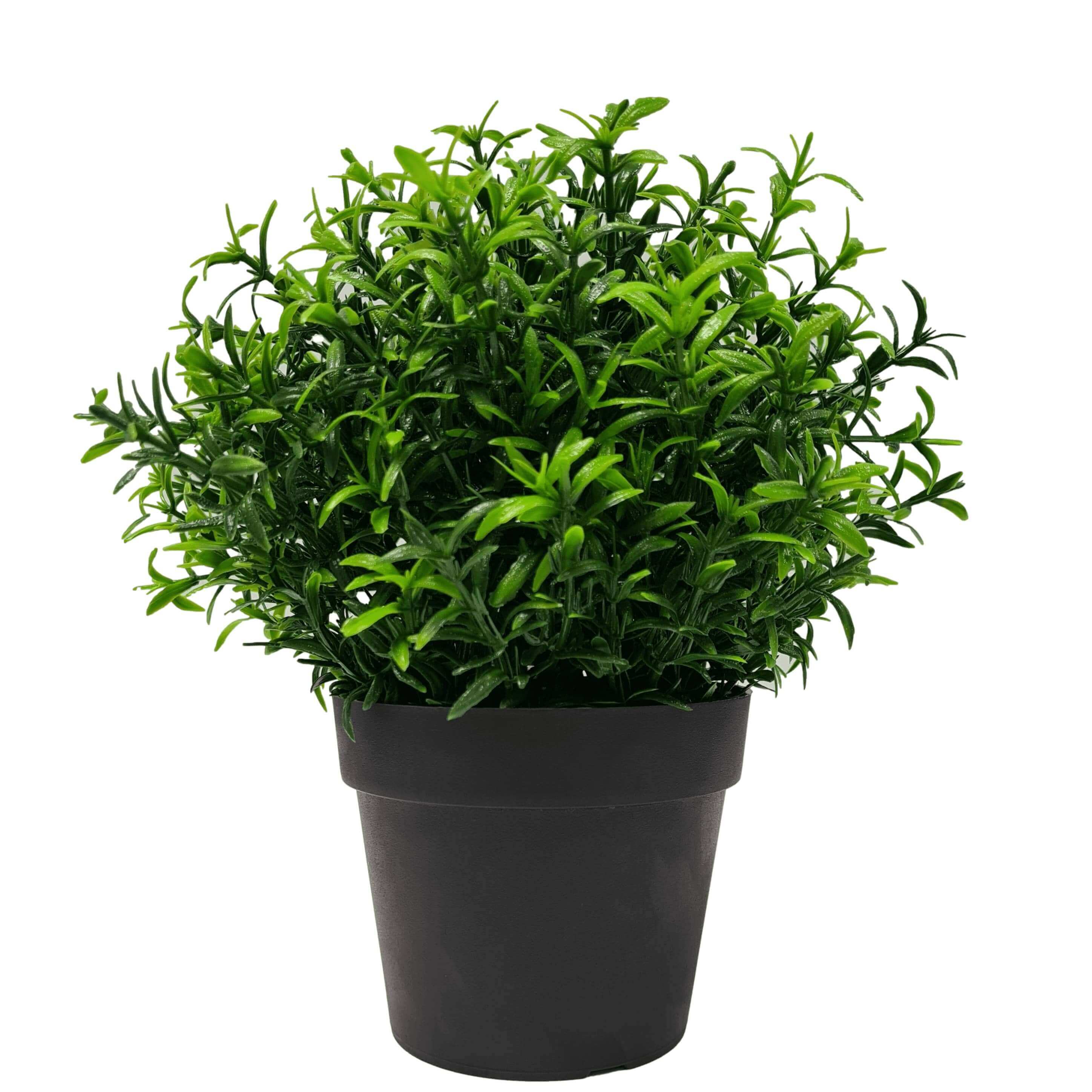 Small Potted Artificial Bright Rosemary Herb Plant UV Resistant 20cm - Designer Vertical Gardens artificial shrubs Artificial Shrubs and Small plants