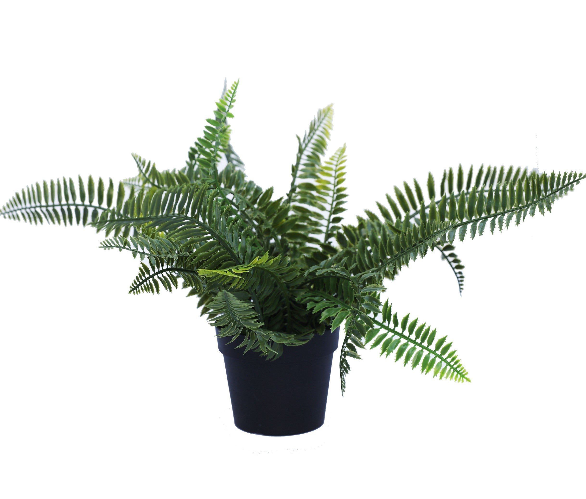 Small Potted Artificial Dark Green Fern Plant UV Resistant 20cm - Designer Vertical Gardens Artificial Shrubs and Small plants