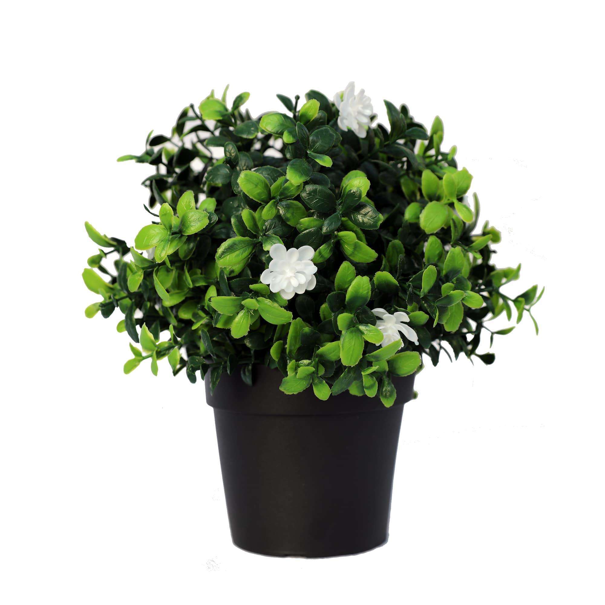 Small Potted Artificial Flowering Boxwood Plant UV Resistant 20cm - Designer Vertical Gardens Artificial Shrubs and Small plants Flowering plants