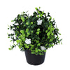 Small Potted Artificial Flowering Boxwood Plant UV Resistant 20cm - Designer Vertical Gardens Artificial Shrubs and Small plants Flowering plants