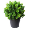 Small Potted Artificial Flowering Hop Plant UV Resistant 20cm - Designer Vertical Gardens Artificial Shrubs and Small plants