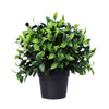 Load image into Gallery viewer, Small Potted Artificial Jasmine Plant UV Resistant 20cm - Designer Vertical Gardens Artificial Shrubs and Small plants indoor artificial wall garden