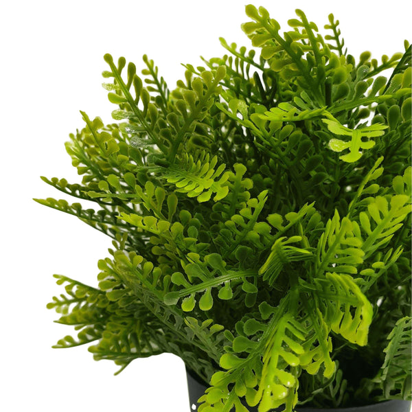 Small Potted Artificial Mimosa Fern UV Resistant 20cm - image 2