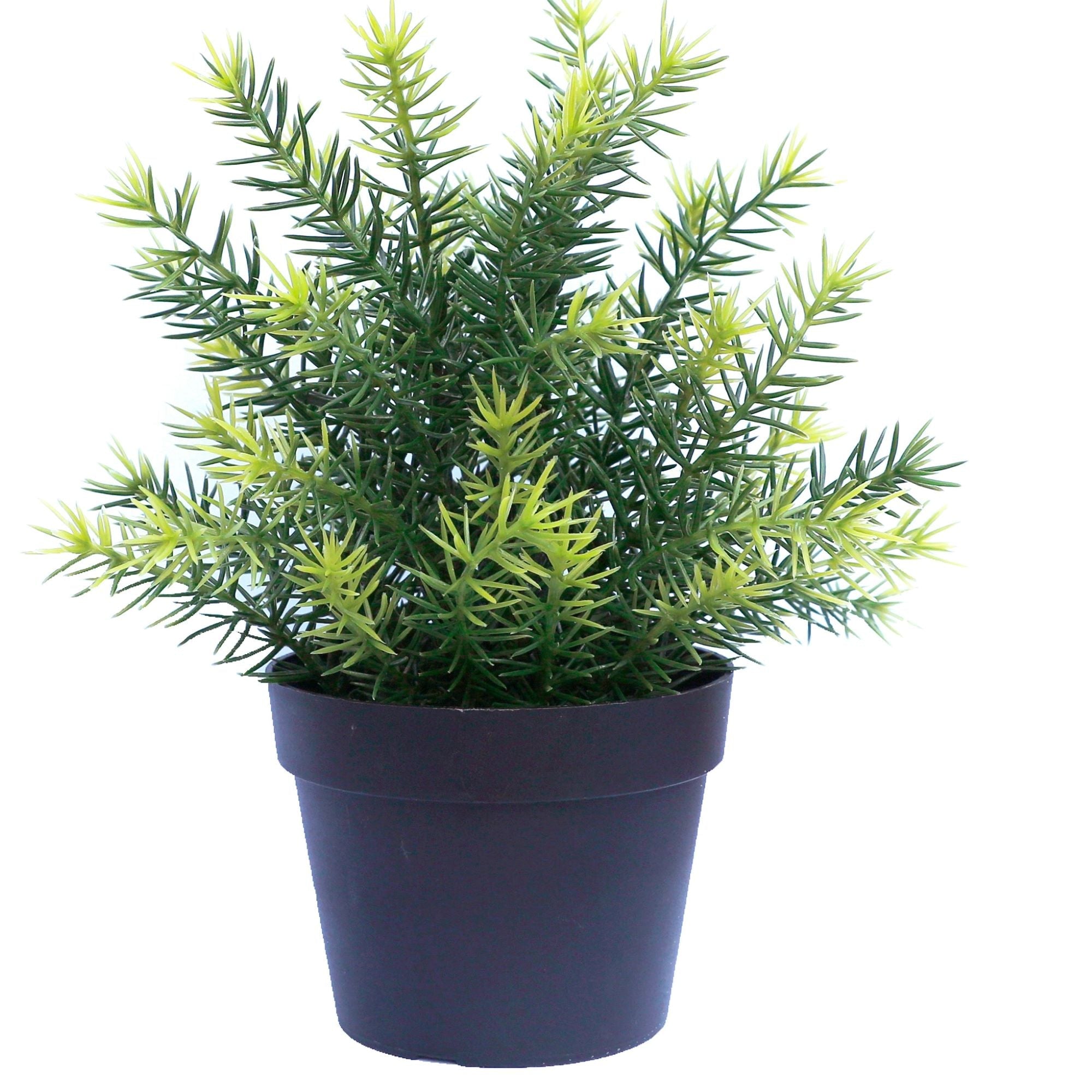 Small Potted Artificial Native Grass Plant UV Resistant 20cm - Designer Vertical Gardens Artificial Shrubs and Small plants