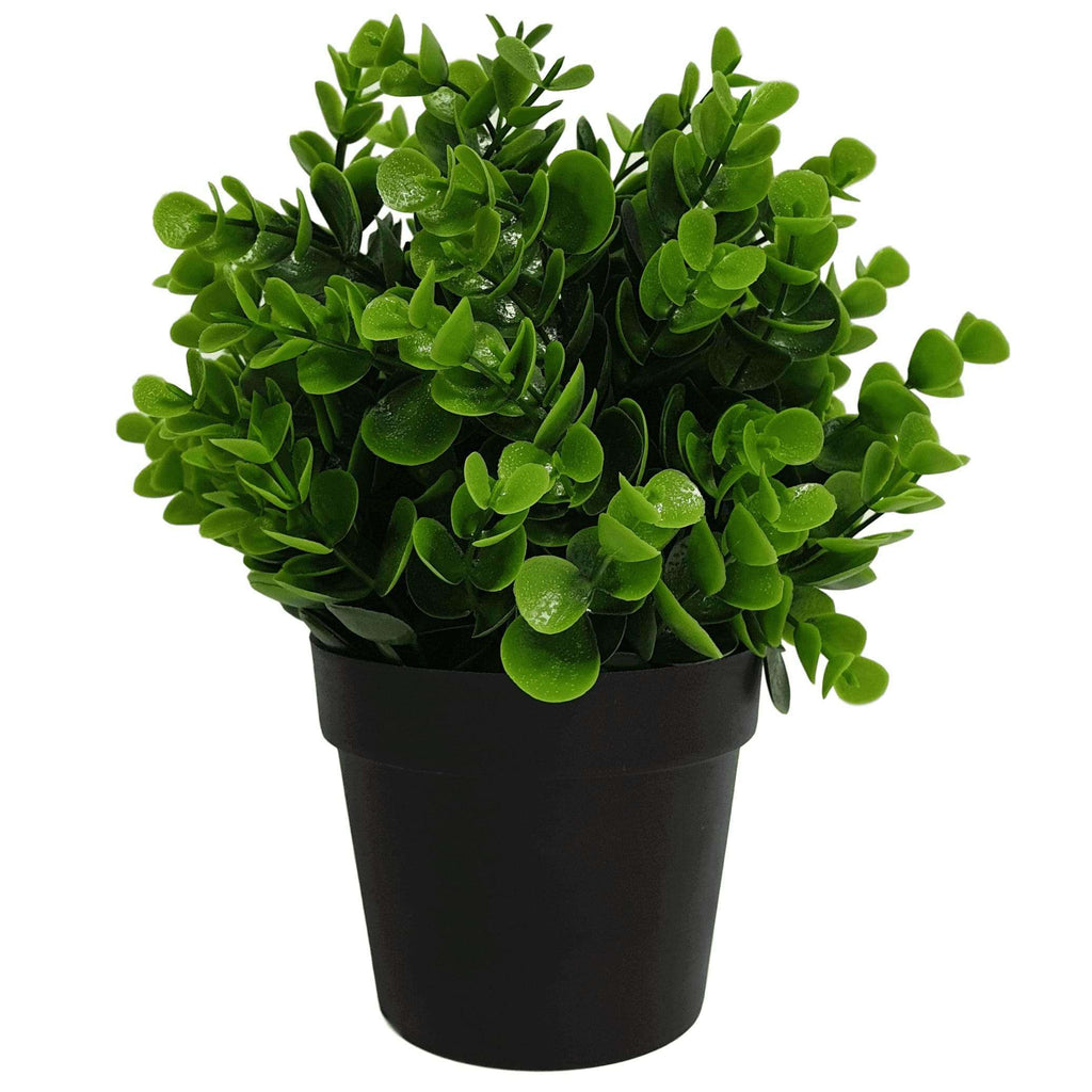 Small Potted Artificial Peperomia Plant UV Resistant 20cm — UV resistant artificial plant
