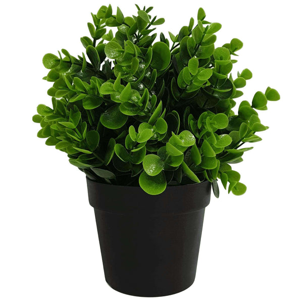 Small Potted Artificial Peperomia Plant UV Resistant 20cm - image 1