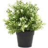 Small Potted Artificial White Jade Plant UV Resistant 20cm - Designer Vertical Gardens