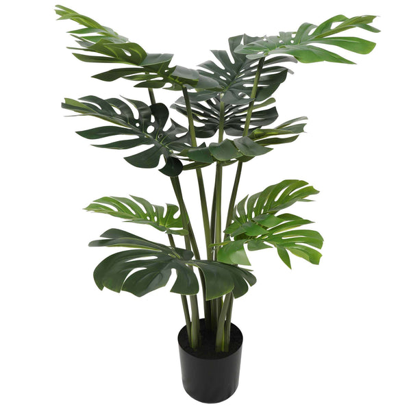 Split Philodendron (Split Leaf) 120cm - image 1