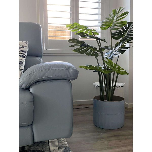 Split Philodendron (Split Leaf) 120cm - image 4