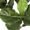 Ultra Premium Artificial Fiddle Leaf Fig Tree 150cm UV Resistant - Designer Vertical Gardens