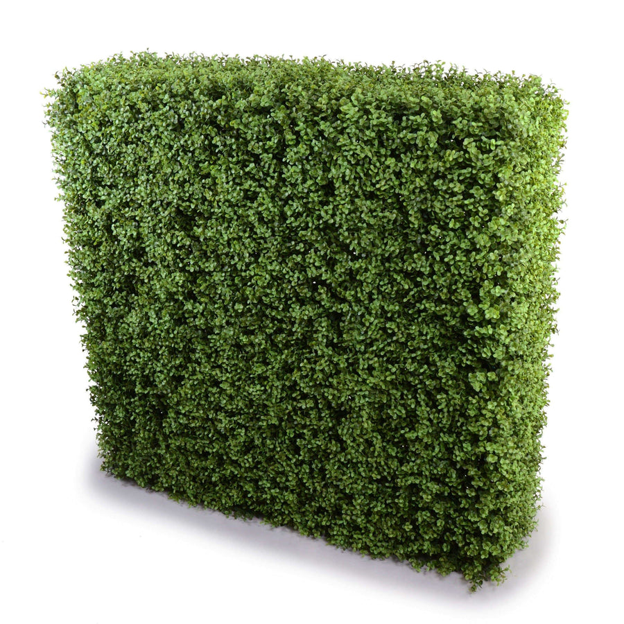 Portable Pittosporum Buxus Hedge 1m x 1m - UVTEX Certified UV Resistant