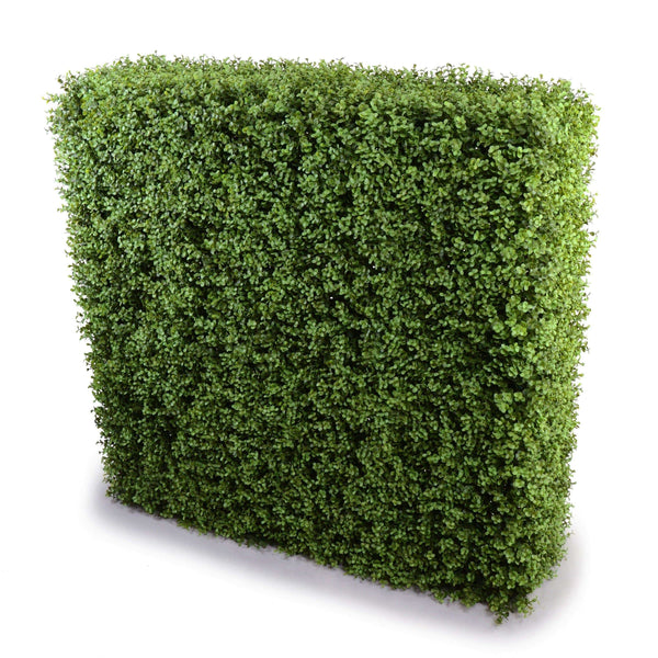 Portable Pittosporum Buxus Hedge 1m x 1m - UVTEX Certified UV Resistant - image 1