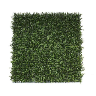 UV Resistant Premium Natural Buxus Artificial Hedge Panel - SAMPLE