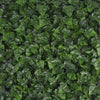 Variegated Boston Ivy Leaf Screen Green Wall Panel UV Resistant 1m X 1m (Solid Backing) - Designer Vertical Gardens artificial vertical garden melbourne artificial vertical garden plants