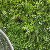 Vista Green Artificial Vertical Garden / Fake Green Wall 100cm x 100cm UV Resistant - Designer Vertical Gardens artificial garden wall plants artificial green wall australia