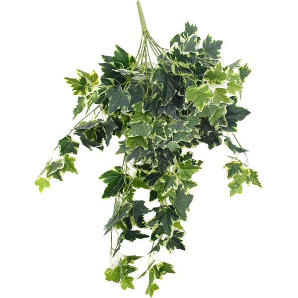White Tipped Hanging Artificial Ivy Bush - 100cm - image 1