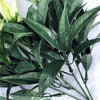 White Tipped Willow Oak Stem UV Resistant 30cm - Designer Vertical Gardens Stems / Ferns
