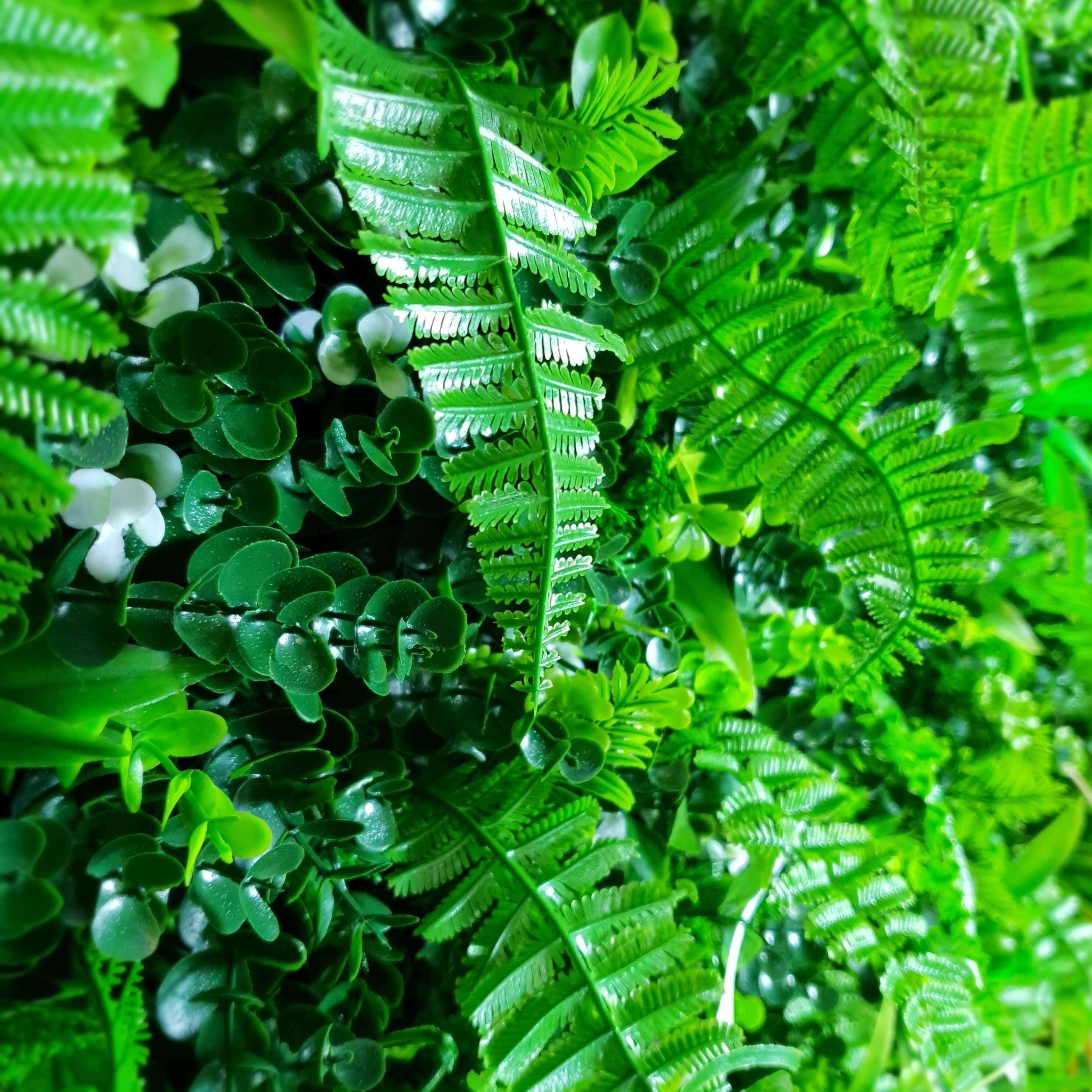 Wild Tropics Artificial Vertical Garden / Fake Green Wall 1m x 1m UV Resistant - Designer Vertical Gardens artificial garden wall plants artificial green wall installation